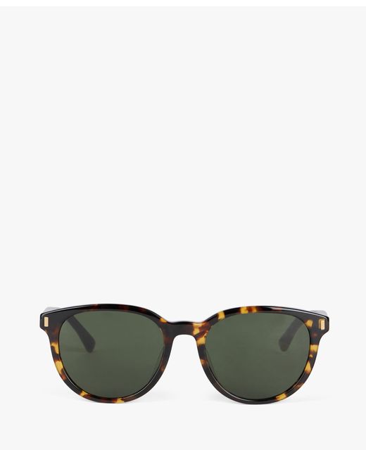 Brown Round Sunglasses di Brooks Brothers in Green da Uomo