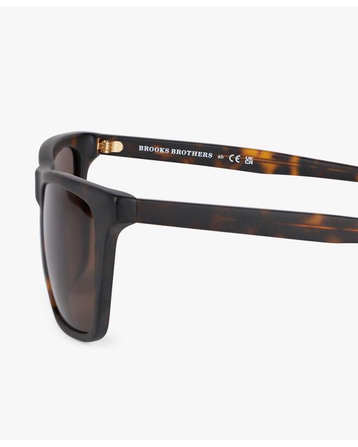 Brown Square Sunglasses di Brooks Brothers in Gray da Uomo