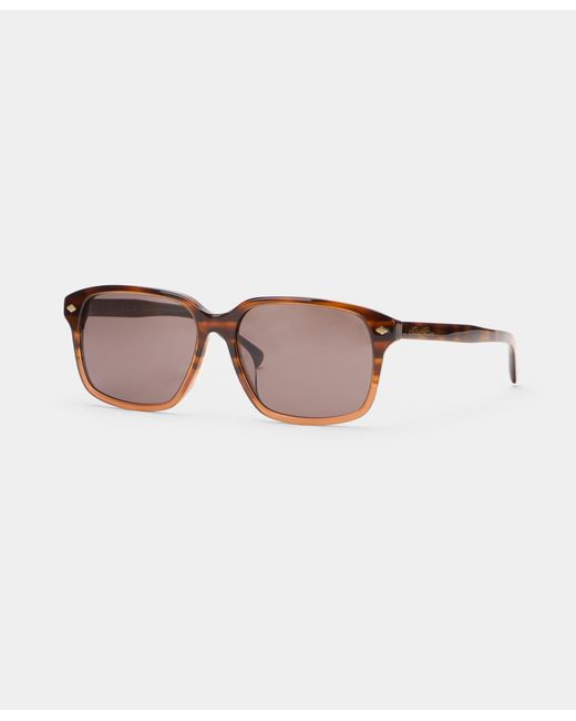 Brooks Brothers Pink Havana Sunglasses for men