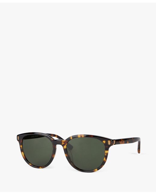 Brown Round Sunglasses di Brooks Brothers in Green da Uomo