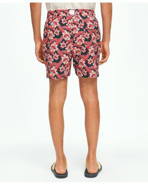 Brooks Brothers Red 5" Montauk Printed Swim Trunks With Stretch for men