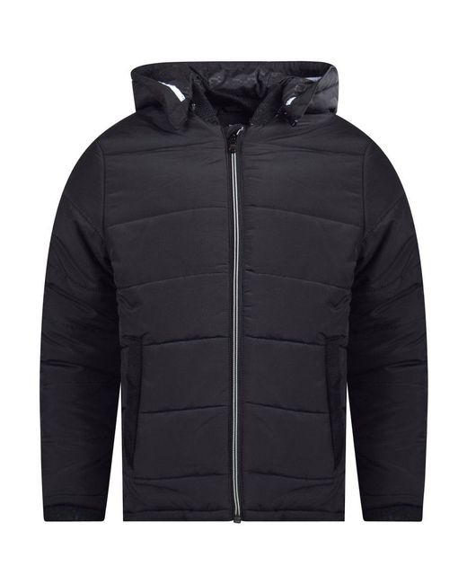 BOSS by HUGO BOSS Back Puffer Jacket in Black for Men Lyst