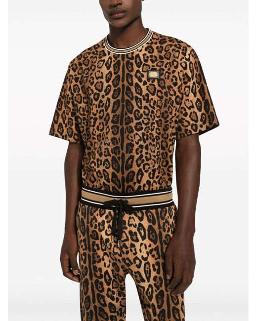 Dolce & Gabbana Brown Animal Print T-Shirt With Logo Plate for men