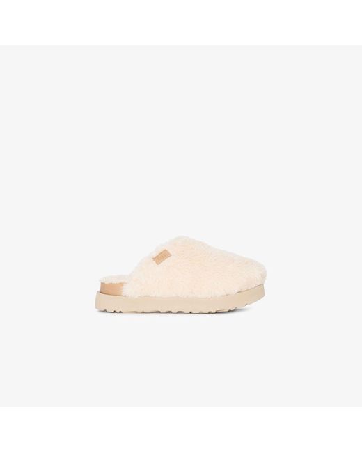 fuzz slides
