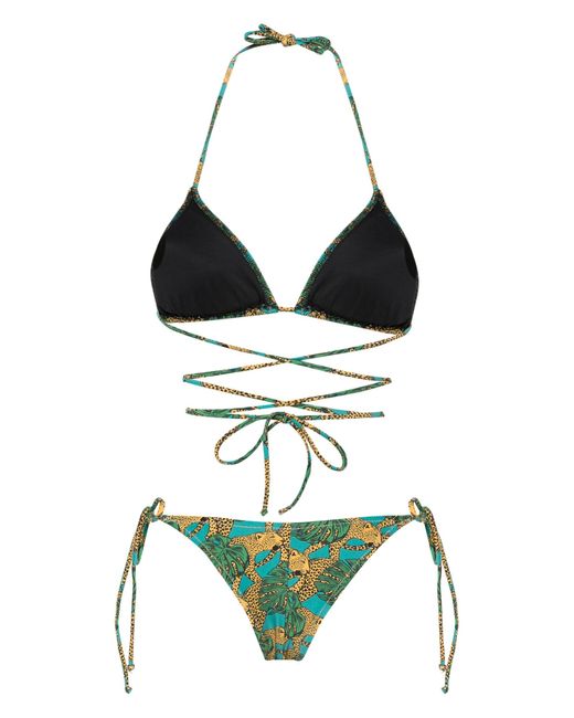 Reina Olga Green Miami Graphic-print Bikini - Women's - Econyl®/elastane