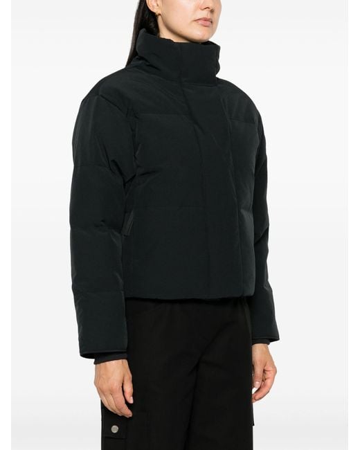 Canada goose jacket feathers hot sale
