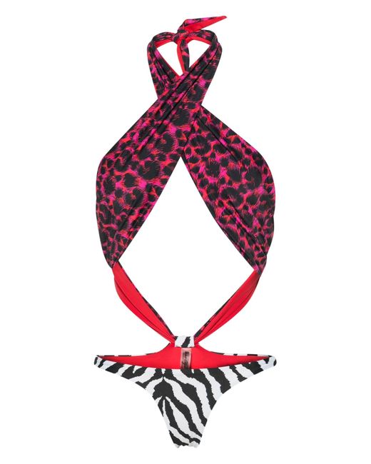 Reina Olga Purple Showpony Animal-print Swimsuit