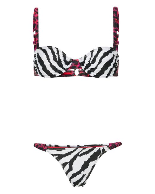Reina Olga Black White Marti Zebra-print Bikini