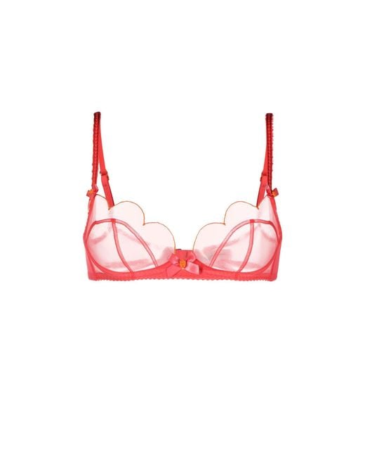 Agent Provocateur Orange Lorna Sheer Scalloped Bra in Pink | Lyst