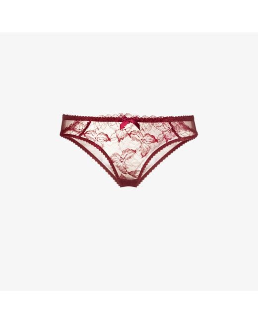 Agent Provocateur Leni Lace Briefs in Red - Lyst