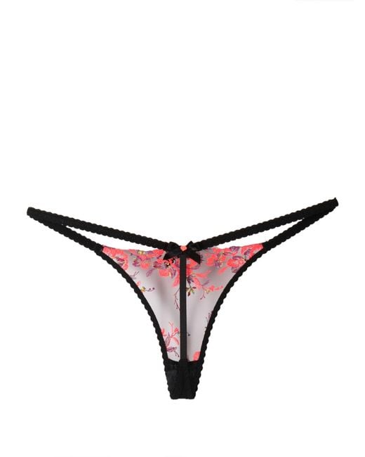 Agent Provocateur Natural Lexx Floral-embroidered Sheer Thong