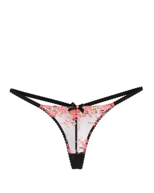 Agent Provocateur Natural Lexx Floral-embroidered Sheer Thong