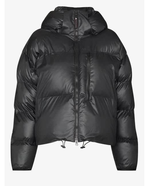 adidas By Stella McCartney Cropped 