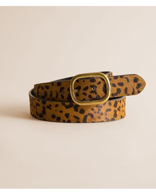 Levi's Brown Reversible Leopard Leather Belt