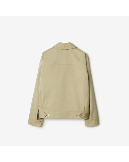 Burberry Green Cotton Silk Harrington Jacket for men