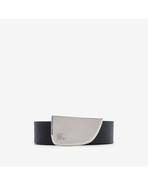 Burberry Multicolor Leather Shield Belt for men