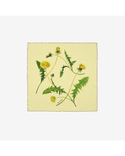 Burberry Yellow Dandelion Silk Scarf