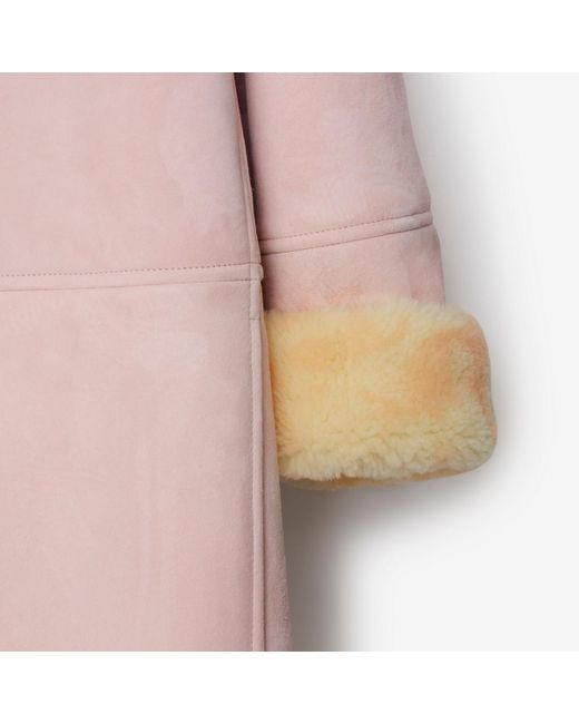 Manteau en cuir velours et shearling Burberry en coloris Pink