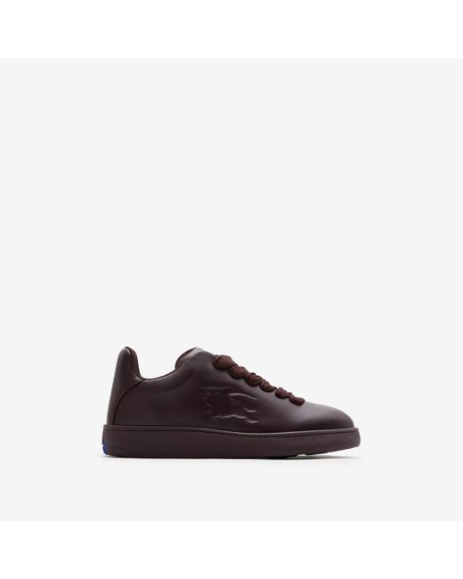 Burberry Brown Leather Box Sneakers for men