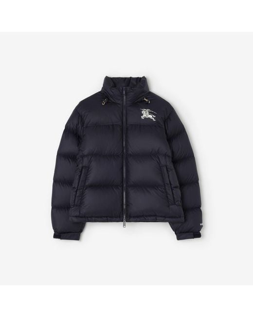 Burberry Blue Highlands Puffer Jacket for men