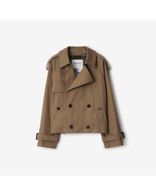 Burberry Brown Cropped Gabardine Trench Jacket for men