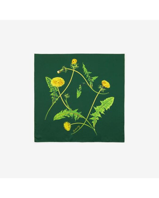 Burberry Green Dandelion Silk Scarf