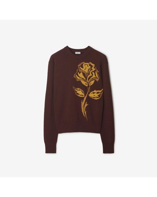 Rose sweater clearance mens