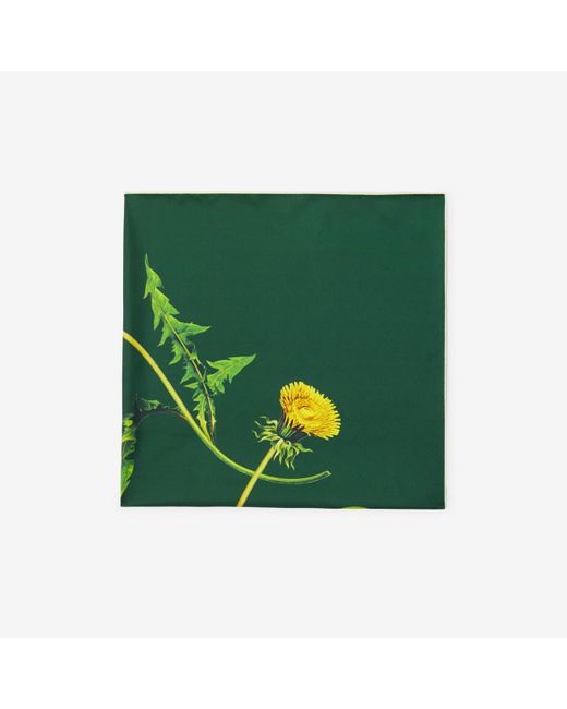 Burberry Green Dandelion Silk Scarf