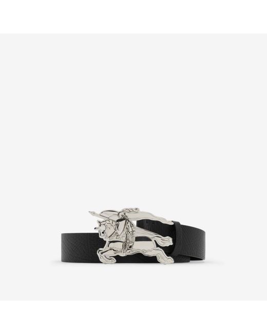 Burberry Multicolor Leather Knight Belt for men