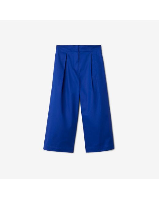 Burberry Blue Pleated Cotton Trousers