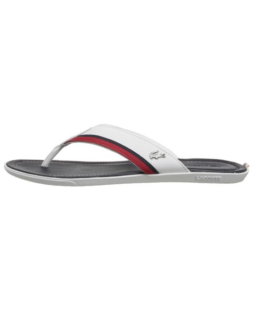 Lacoste carros flip flops cheap