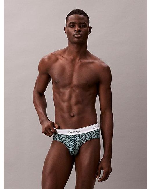 Calvin Klein 3-Pack Slips in het Gray voor heren