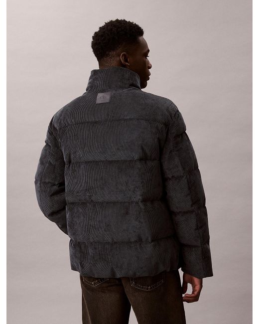 Calvin Klein Gray Corduroy Puffer Jacket for men