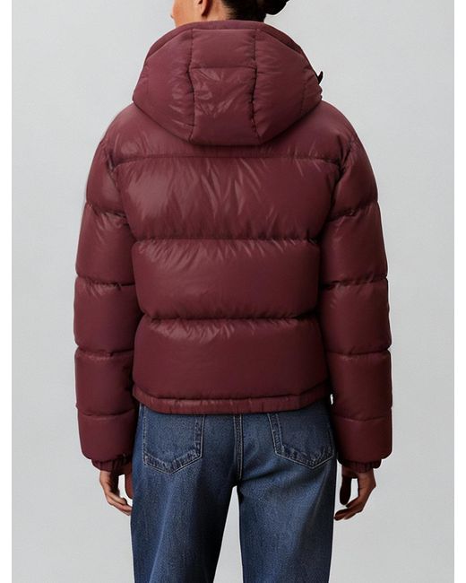 Calvin Klein Blue Short Down Puffer Jacket