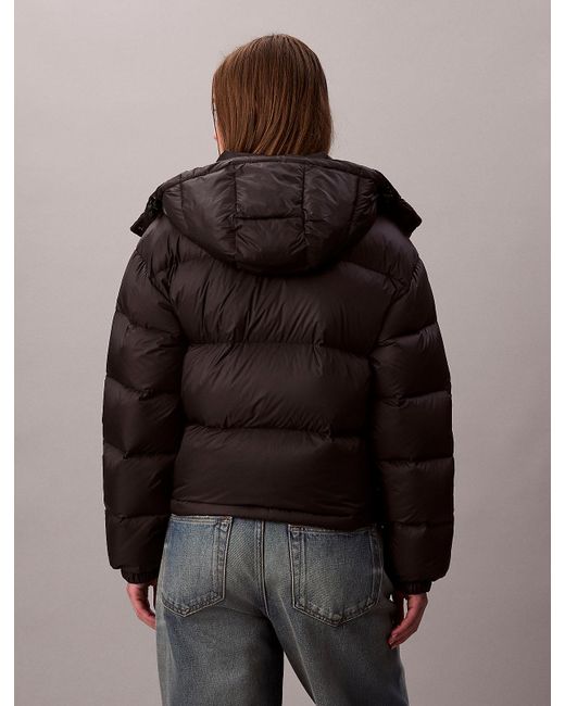 Calvin Klein Brown Short Down Puffer Jacket