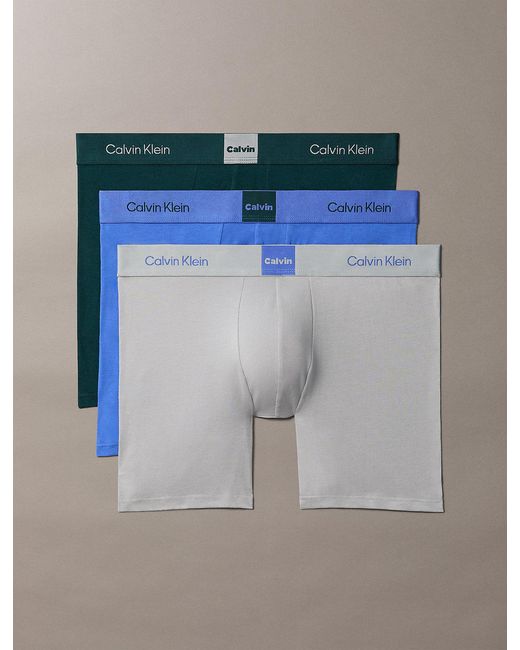 Calvin Klein Blue 3 Pack Boxer Briefs for men