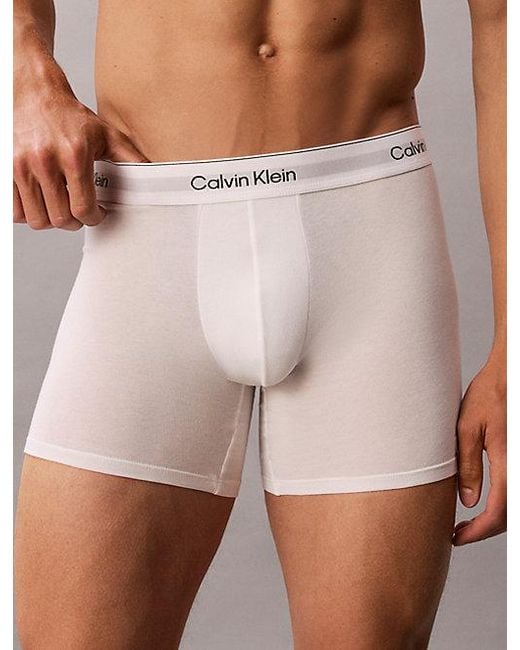 Calvin Klein 7-Pack Boxer Briefs in het Multicolor voor heren