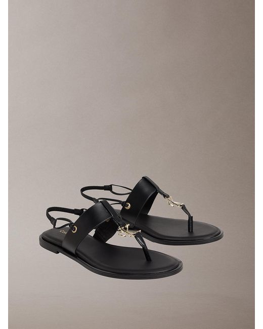 Calvin Klein Multicolor Filomena