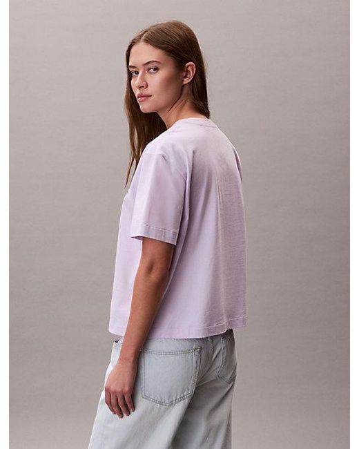 Calvin Klein Multicolor Jeans Relaxed Embroidered Logo T-Shirt