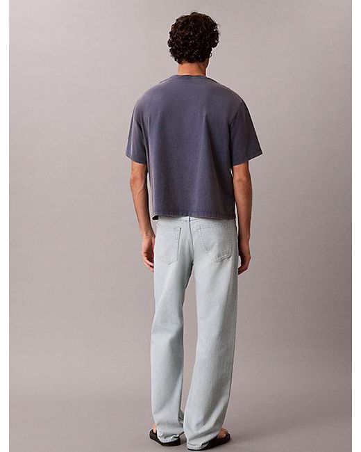 Calvin Klein Blue Jeans 90S Straight Jeans for men