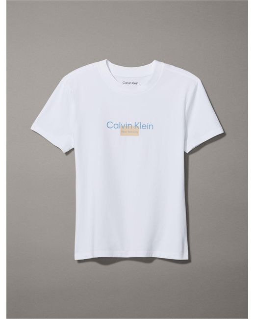 Calvin Klein Brown Minimal Logo Graphic Slim Fit T-shirt