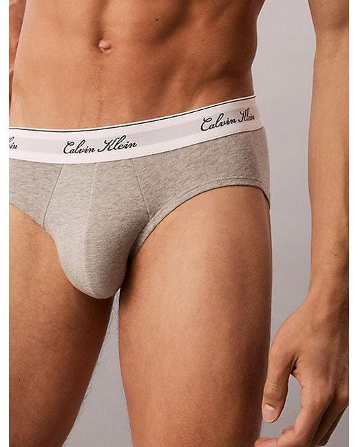 Calvin Klein Multicolor 3 Pack Hip Briefs Icon Cotton Stretch for men