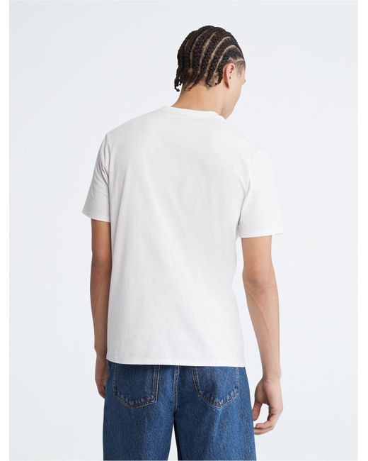 Calvin Klein Natural Landscape Graphic Logo Crewneck T-shirt in White for  Men