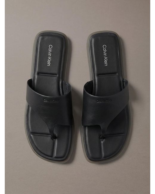 Calvin Klein Gray Carla