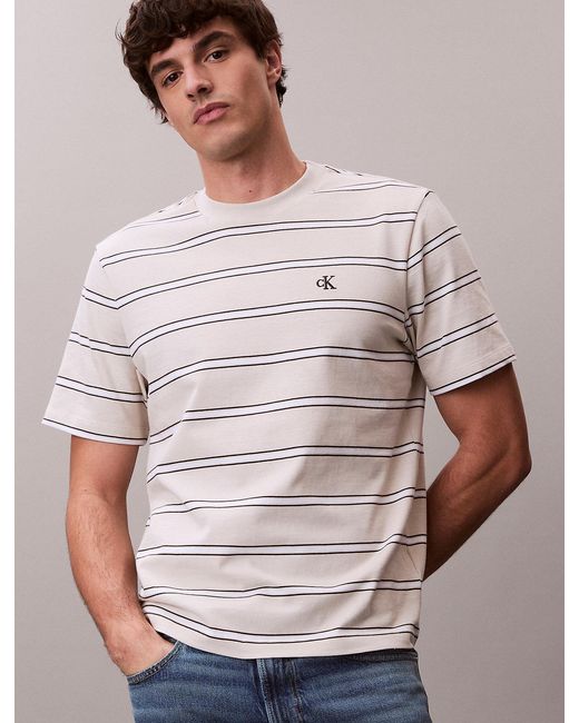 Calvin Klein Multicolor Stripe Monogram T-Shirt for men