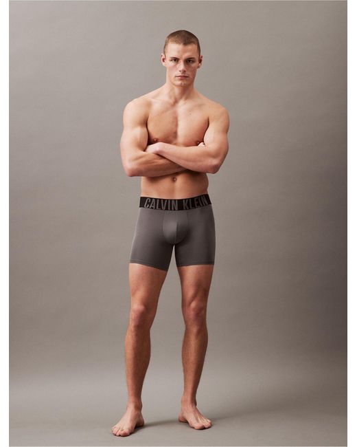 Calvin Klein Gray Intense Power Micro 3-pack Boxer Brief for men