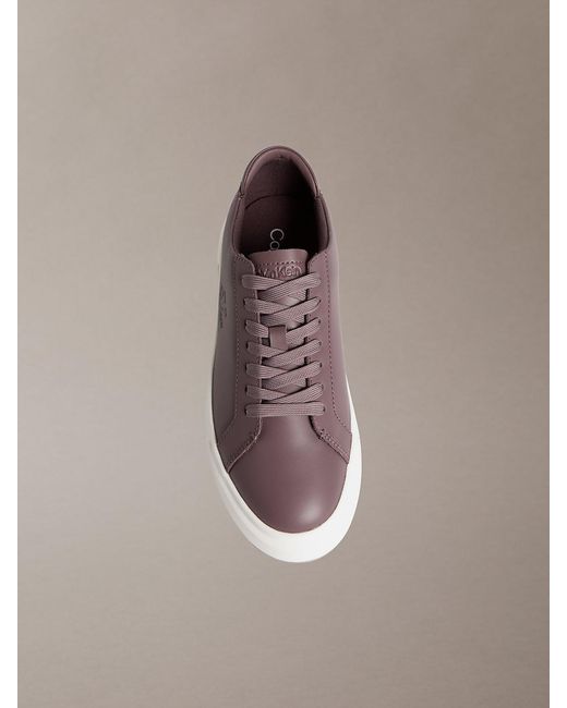 Calvin Klein Brown Premier