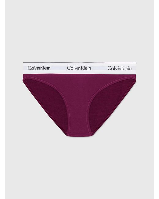 Calvin Klein Purple Bikini Briefs - Modern Cotton