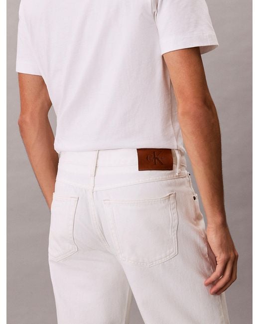 Calvin Klein Multicolor 90S Straight Jeans for men