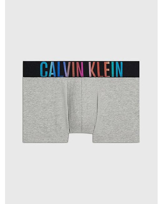 Calvin Klein Shorts - Intense Power in Gray für Herren